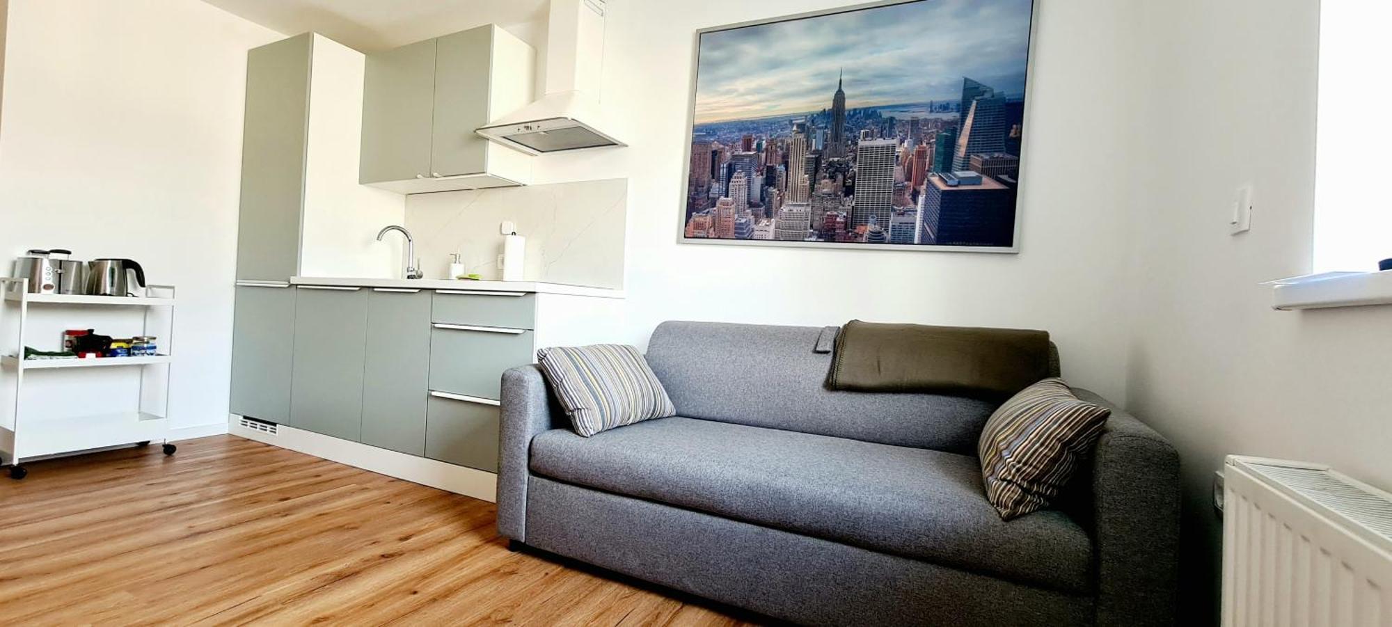Апартаменты Little Plaza Duplex Любляна Экстерьер фото